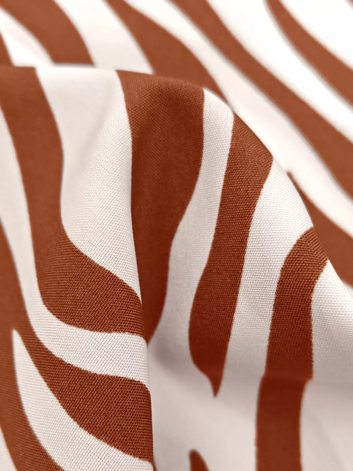 Wild Instinct Zebra Print Top & Pants Set